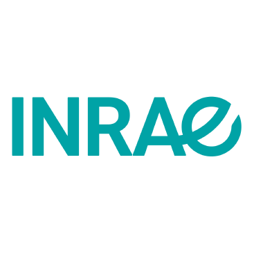 image logo_inrae.png (12.6kB)
Lien vers: https://umr-innovation.cirad.fr/thematiques/dam/presentation